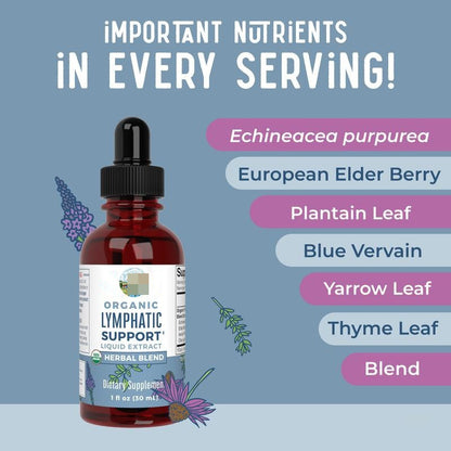 Lymphatic Support Cleansing Essence with Natural Herbs
